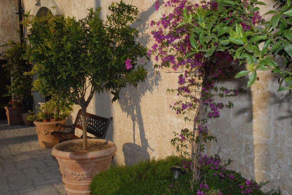Castello Conti Filo Bed and Breakfast Torre Santa Susanna Eksteriør billede